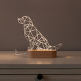 Bild in Galerie-Betrachter laden, LED Acryllampe, Hund
